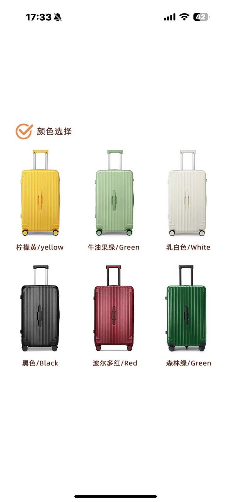 Premium Suitcase Model E